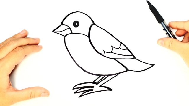 COMO DIBUJAR ANIMALES (Accessibility view)